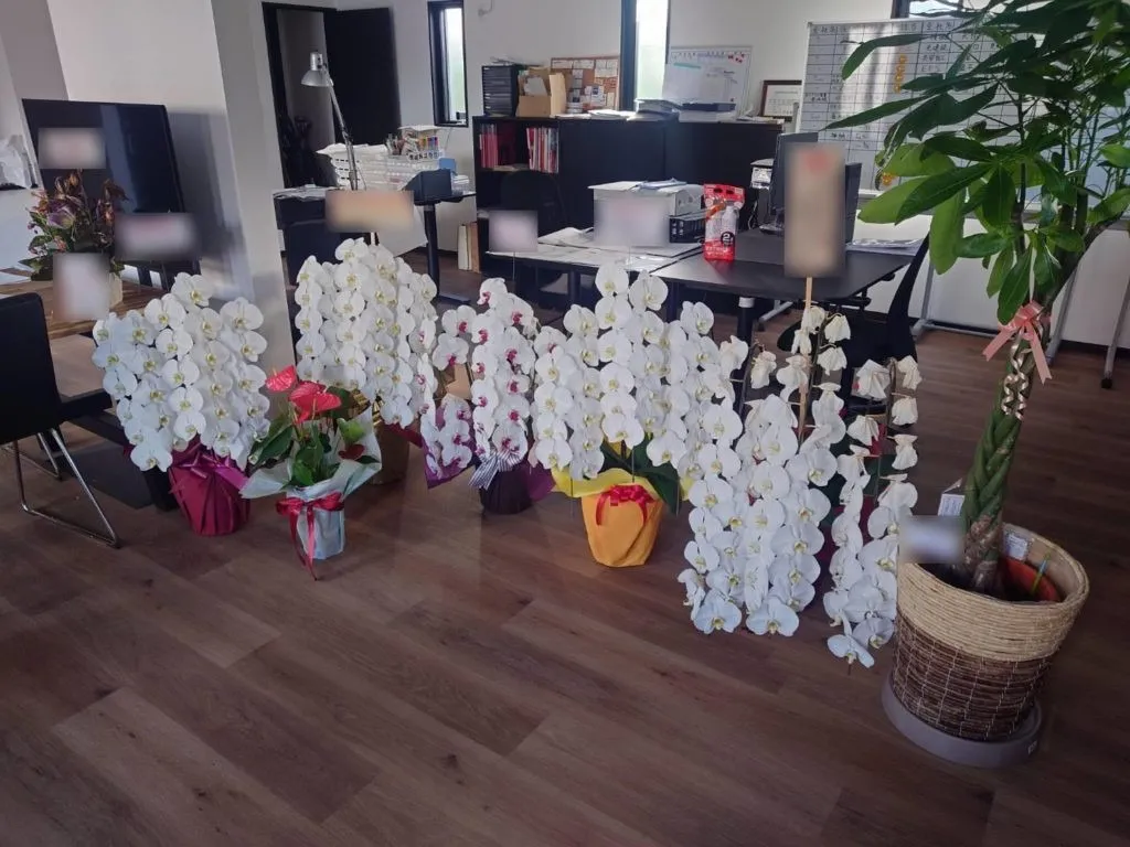 事務所、開所しました！