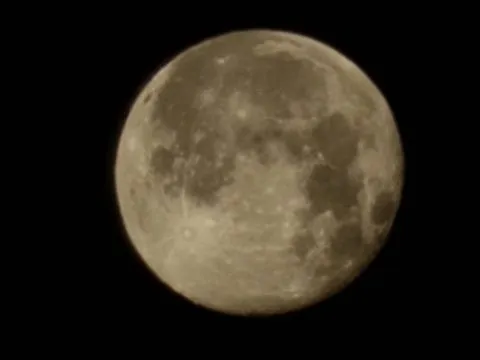 【求人募集中】月をカメラでパシャリ！近況をご紹介