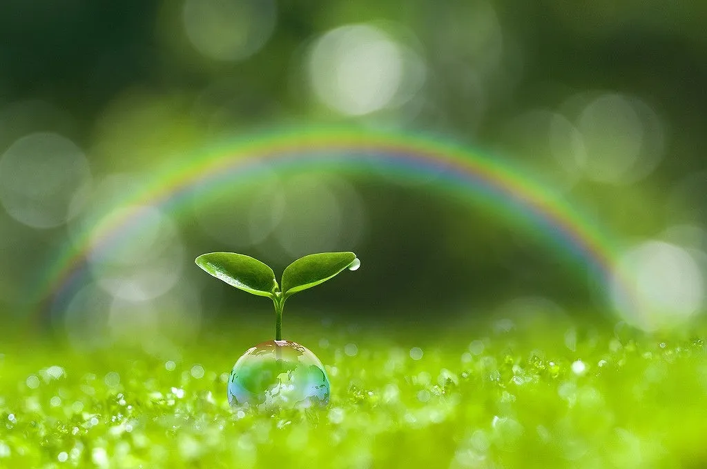 手に職をつける外構工事業界への道